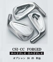 ラズル・ダズル CSI-CC FORGED アイアンヘッド単体オプション1本 （#4,5）軟鉄鍛造 ニッケルクロムサテン