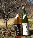 藤娘酒造 梅の酒 とみやま ほんのり辛口 720ml 14度 送料無料 高知 富山 日本酒 瓶 純米酒 梅酒