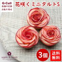 送料無料 アップルアンドローゼス バラの花咲くミニタルトS 3個 apple&roses 信州安曇野 長野 リンゴタルト 林檎タルト りんごタルト 　お取り寄せ/洋菓子/ギフト/贈答