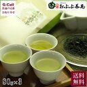 楽天G-Call 食通の定番 お取り寄せおぶぶ茶苑 かぶせ煎茶 80g 3袋 送料無料 京都宇治茶 氷出し 水出し 旨出し 熱湯 煎茶 おひた やぶきた 京都 荒茶 和束茶 日本茶 お取り寄せ