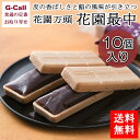 花園万頭 花園最中 10個入り 送料無料 最中 もなか 和菓子 お茶請け スイーツ 銘菓 お取り寄せ ギフト