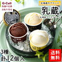 江戸屋 乳蔵 北海道アイスクリーム 3種12個 送料無料 スイーツ デザート プレミアム バニラ 北海道 濃厚 甘味 十勝牛乳 お取り寄せ ギフト 贈答 お祝い