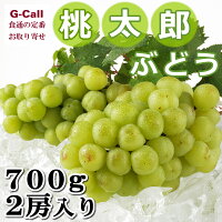 送料無料 晴富 岡山県産 桃太郎ぶどう 約700g 2房 果物/フルーツ/マスカット/葡萄/旬/産地直送/秋の味覚/大粒/種なし/お取り寄せ/ギフト/贈答/お祝い