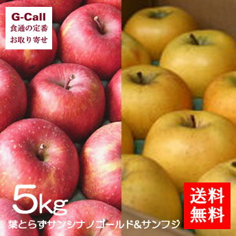 送料無料 津軽ゆめりんごファーム 葉とらずサンシナノゴールドとサンフジの2種詰合せ 秀品 5kg 果物/フルーツ/産地直送/絶品/青森県/旬/ギフト/贈答