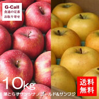 送料無料 津軽ゆめりんごファーム 葉とらずサンシナノゴールドとサンフジの2種詰合せ 秀品 10kg 果物/フルーツ/産地直送/絶品/青森県/旬/ギフト/贈答