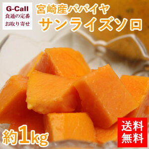 送料無料 宮崎産パパイヤ サンライズソロ 1kg 果物/フルーツ/国産/くだもの/濃厚/宮崎県/お取り寄せ/ギフト/贈答