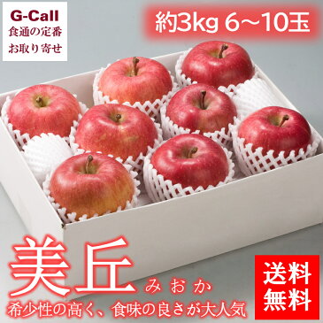 送料無料 キョーエイ 青森産りんご 美丘 約3kg 6〜10玉 果物/旬/フルーツ/林檎/青森県/産地直送/甘い/希少品/お取り寄せ/ギフト/贈答
