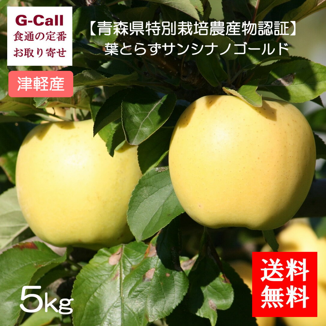 津軽ゆめりんごファーム 津軽産りんご 葉とらずサンシナノゴールド 秀品 5kg 送料無料 シナノゴールド りんご リンゴ 林檎 フルーツ ギフト 果物