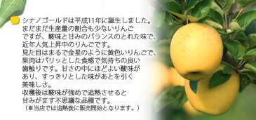 津軽ゆめりんごファーム 津軽産りんご 葉とらずサンシナノゴールド 秀品 5kg 送料無料 シナノゴールド りんご リンゴ 林檎 フルーツ ギフト 果物