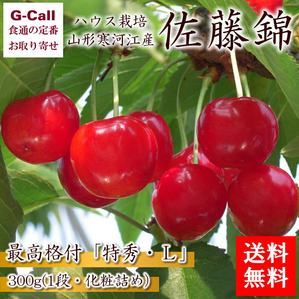 山形寒河江産 ハウス栽培 佐藤錦 特秀Lサイズ 300g 1段化粧詰め JAさがえ西村山 5月中旬〜下旬出荷 送料無料 さくらんぼ サクランボ 果物 フルーツ 贈答 ギフト