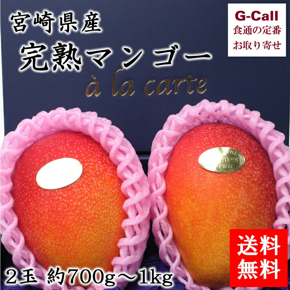 マンゴー 宮崎産 完熟マンゴー 2玉 約700g～1kg 送料無料 マンゴー 完熟マンゴー アーウィン種 高糖度 フルーツ くだもの ギフト 果物 旬の果物 贈答 お取り寄せ