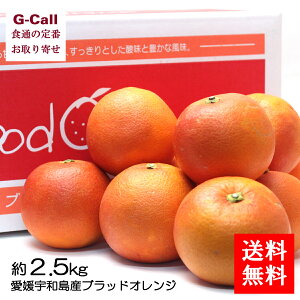 愛媛宇和島産ブラッドオレンジ 約2.5kg 大小混合 15〜20玉入 段ボール箱 送料無料 オレンジ 柑橘類 フルーツ 果物 くだもの