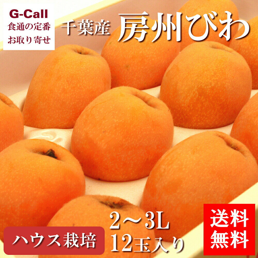 千葉産 房州びわ ハウス物 2～3L 12玉 送料無料 フルーツ ギフト 果物 くだもの びわ ビワ 旬の果物 大玉 みずみずしい 贈答 ギフト お取り寄せ