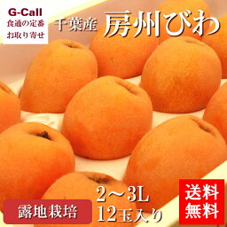 千葉産 房州びわ 露地物 2～3L 12玉 送料無料 ビワ びわ フルーツ くだもの 果物 ギフト 枇杷 贈答 大玉 旬の果物 みずみずしい ギフト お取り寄せ