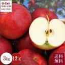 いわて純情りんご 紅ロマン 3kg 12玉前後 8月下旬〜9月初旬頃出荷 送料無料 果物 リンゴ 林檎 フルーツ 高級 ジューシー 旬の果物 お取り寄せ 贈答 ...