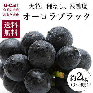 岡山県産 オーロラブラック 約2kg 3〜4房 古那志屋 小林農園 送料無料 ぶどう 葡萄 ブドウ くだもの 果物 フルーツ 贈答 ギフト 産地直送 お取り寄せ