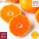 愛知県蒲郡産 温室みかん S-Mサイズ 約2.5kg 約24-30玉入 化粧箱入 5月中旬〜8月下旬発送 指定日不可 送料無料 みかん 柑橘 くだもの フルーツ...