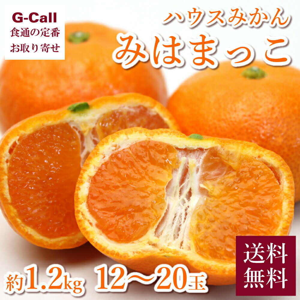 みかん 愛知県産 ハウスみかん みはまっこ 約1.2kg 12～20玉前後 送料無料 果物 フルーツ 柑橘 ミカン 旬 デザート 高糖度 濃厚 ハウス栽培 ギフト 贈答 産地直送