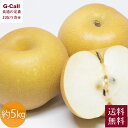 鳥取オリジナルブランド梨 新甘泉 しんかんせん 秀品 約5kg 8〜18玉 8月末〜9月20日頃 指定日不可 送料無料 果物 和梨 なし ナシ 梨 フルーツ 高...