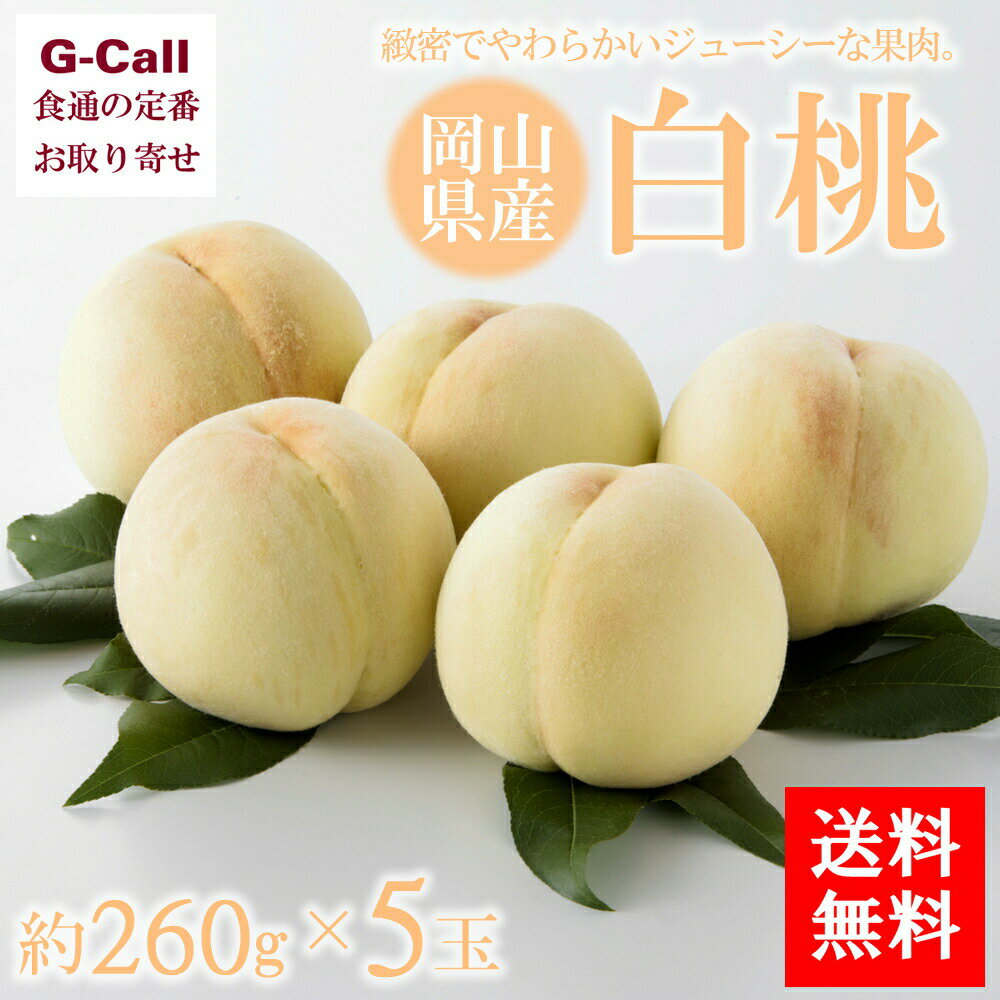 桃 岡山の白桃 260g 5玉 送料無料 産地直送 桃 モモ ピーチ 果物 くだもの フルーツ 果物 旬 白桃 御中元 お中元 ギフト 贈答 岡山 晴富 もも 化粧箱 取り寄せ