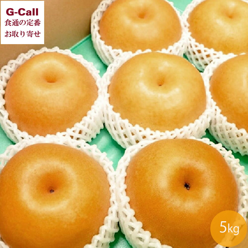 新興梨 5kg 7〜12玉 土田農園 新潟県産 11月初旬〜2月中旬頃出荷 指定日不可 北海道・四国/九州・沖縄送料別 梨 くだもの 果物 フルーツ ギフト 贈答 産地直送