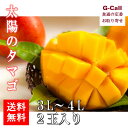 宮崎県産 完熟マンゴー 太陽のタマゴ 3〜4L 2玉 送料無料 5月中旬から6月下旬出荷 マンゴー フルーツ 果物 くだもの 旬 国産 ギフト トロピカルフルー...
