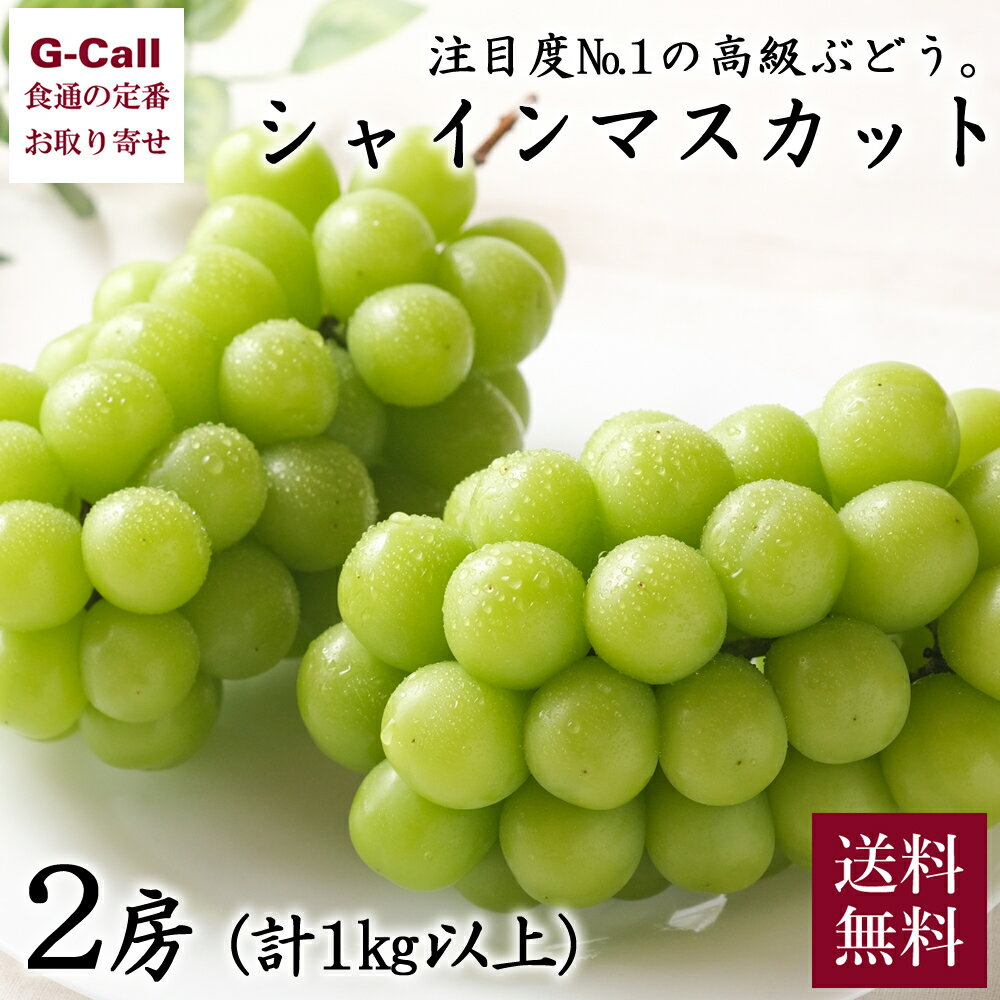 シャインマスカット 2房 合計1kg以上 送料無料 秋の味覚 ブドウ ぶどう 葡萄 旬 お取り寄せ 大人気 高糖度 皮ごと