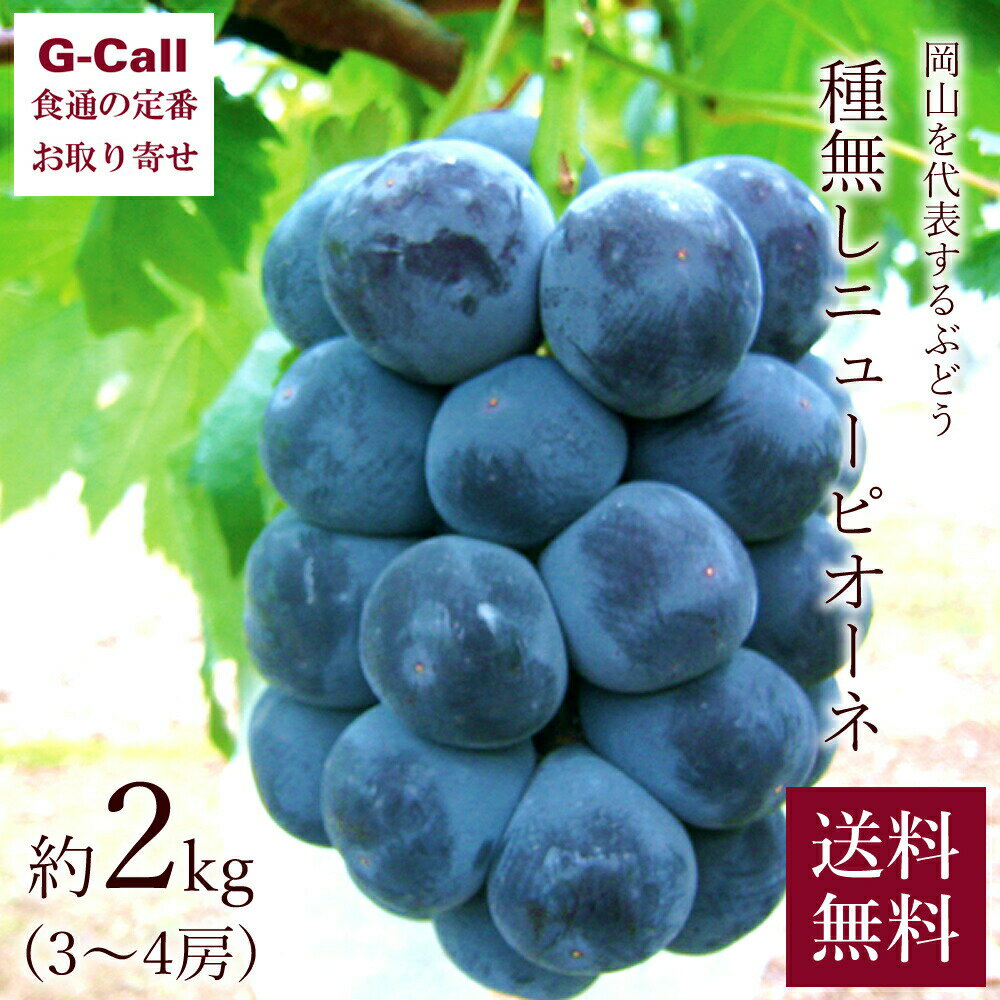 岡山県産 種なしニューピオーネ 約2kg 3〜4房 古那志屋 小林農園 送料無料 種なし ぶどう ブドウ 葡萄 果物 フルーツ くだもの 旬の果物 高糖度 贈答 ギフトのサムネイル