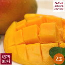 航空便 ペルー産 完熟マンゴー 2玉 約750g 12月下旬〜2月末ごろまで発送 指定日不可 送料無料 産地直送 直輸入 マンゴー アップルマンゴー 果物 ギフト フルーツ
