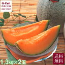 JA夕張 夕張メロン 1.3kg 2玉 化粧箱入 7月下旬~8月中旬出荷 指定日不可 中国・四国/九州・沖縄送料別 メロン フルーツ 果物 旬の果物 贈答 ギフト お取り寄せ