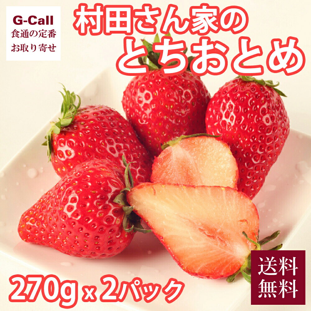 茨城県鉾田産 村田さん家のとちおとめ 270g 2パック 送料無料 イチゴ 苺 ギフト いちご フルーツ 果物 くだもの 甘さと酸味 旬 大粒 生産者直送 お取り寄せ