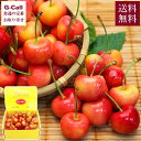 ワシントン州産 レイニアチェリー 約1kg 送料無料 7月上旬から7月中旬出荷 イエローボックス又は黒化粧箱 果物 アメリカ チェリー さくらんぼ フルーツ ギ...
