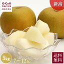 千葉県産 白井の梨 新高 約5kg 7~12玉 9月上旬から9月中旬出荷 送料無料 秀品 産地直送 果物 フルーツ 和梨 なし ナシ 人気 ジューシー 旬 千葉県 お取り寄せ