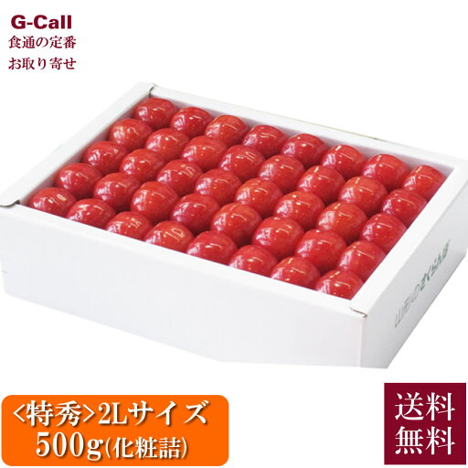 山形おきたま産 ハウス栽培 紅秀峰 最高格付「特秀」 2Lサイズ 500g 2段 化粧詰 6月上旬〜6月中旬発送 送料無料 さくらんぼ サクランボ 果物 フルーツ ギフト 山形おきたま産 ハウス栽培 紅秀峰 最高格付「特秀」 2Lサイズ 500g 2段 化粧詰 6月上旬〜6月中旬発送 送料無料 さくらんぼ サクランボ 果物 フルーツ ギフト