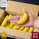 国産バナナ NEXT 716 ミニバナナ 1kg 送料無料 ネクストファーム 果物 フルーツ 国産 