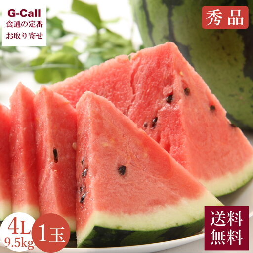 鳥取県産 大栄西瓜 秀品 4L寸 1玉 9.5kg以上 6月上旬〜7月上旬出荷 送料無料 スイカ すいか フルーツ 果物 くだもの 旬 西瓜 ギフト 高品質 高級 お取り寄せ 鳥取県産 大栄西瓜 秀品 4L寸 1玉 9.5kg以上 6月上旬〜7月上旬出荷 送料無料 スイカ すいか フルーツ 果物 くだもの 旬 西瓜 ギフト 高品質 高級 お取り寄せ