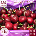ワシントン州産 ダークチェリー 約1kg 送料無料 6月下旬から7月下旬出荷 ベルフーズ 果物 フルーツ さくらんぼ チェリー ギフト 贈答 プレゼント 旬の果...