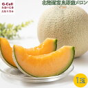 北海道富良野産メロン R113U 1玉入 四国/九州・沖縄送料別 7月中旬から8月中旬出荷 メロン くだもの 果物 フルーツ 旬の果物 芳醇 薄皮 高糖度 産地直送