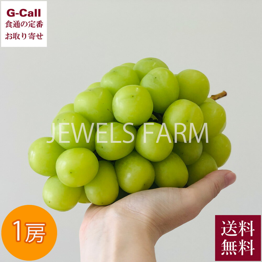 JEWELS FARM シャインマスカット グランサイズ 1房 約550g 送料無料 シャインマスカット マスカット ジューシー うす皮 希少 限定 お取り寄せ 信州須坂 産地直送