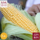 Inakakara Farm to Table 山梨県 富士河口湖町産 とうもろこし 恵味ゴールド 6本 7月〜8月中旬発送 指定日不可 沖縄・離島お届け不可 ...