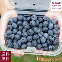大粒 大山の恵み摘みたてブルーベリー 1kg (250g×4パック) 小林観光ブルーベリー園 7月上旬〜8月下旬出荷 送料無料 冷蔵 小分け 産地直送 鳥取県 ...