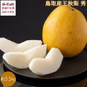 JA全農とっとり 鳥取産王秋梨 秀 5-6玉 約3.5kg 11月中旬~11月下旬出荷 北海道・沖縄送料別 果物 フルーツ なし 鳥取県 お取り寄せ 産地直送 くだもの 旬