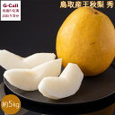 JA全農とっとり 鳥取産王秋梨 秀 7-8玉 約5kg 11月中旬~11月下旬出荷 北海道・沖縄送料別 果物 フルーツ なし 鳥取県 お取り寄せ 産地直送 くだもの 旬