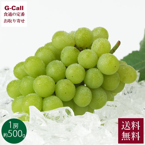 岡山産 マスカットオブアレキサンドリア 1房 約500g 7月上旬〜8月上旬発送 北海道・沖縄届け不可 送料無料 旬 マスカット ぶどう 葡萄 旬 フルーツ 化粧箱 贈答 岡山産 マスカットオブアレキサンドリア 1房 約500g 7月上旬〜8月上旬発送 北海道・沖縄届け不可 送料無料 旬 マスカット ぶどう 葡萄 旬 フルーツ 化粧箱 贈答
