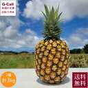 石垣島産 ゴールドバレルとサンドルチェパインセット 計3kg 2〜3本入 6月中旬〜7月中旬出荷 送料無料 パイナップル パイン 石垣島 くだもの フルーツ 果...