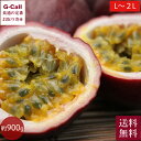 沖縄産パッションフルーツ L〜2L 900g以上 9〜10玉入 4月中旬〜5月下旬出荷 送料無料 パッションフルーツ フルーツ 沖縄 果物 くだもの トロポカル...