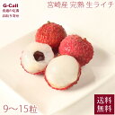 宮崎産 完熟 生ライチ 420g以上 9〜15粒入 化粧箱 送料無料 6月中旬から7月下旬出荷 指定日不可 ライチ 果物 フルーツ お取り寄せ 宮崎県 国産 贈...