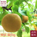 千葉県産 白井の梨 幸水 約5kg 12〜14玉 8月上旬から中旬出荷 送料無料 秀品 ナシ なし フルーツ 果物 くだもの ギフト 贈答 和梨 千葉 梨 産地...