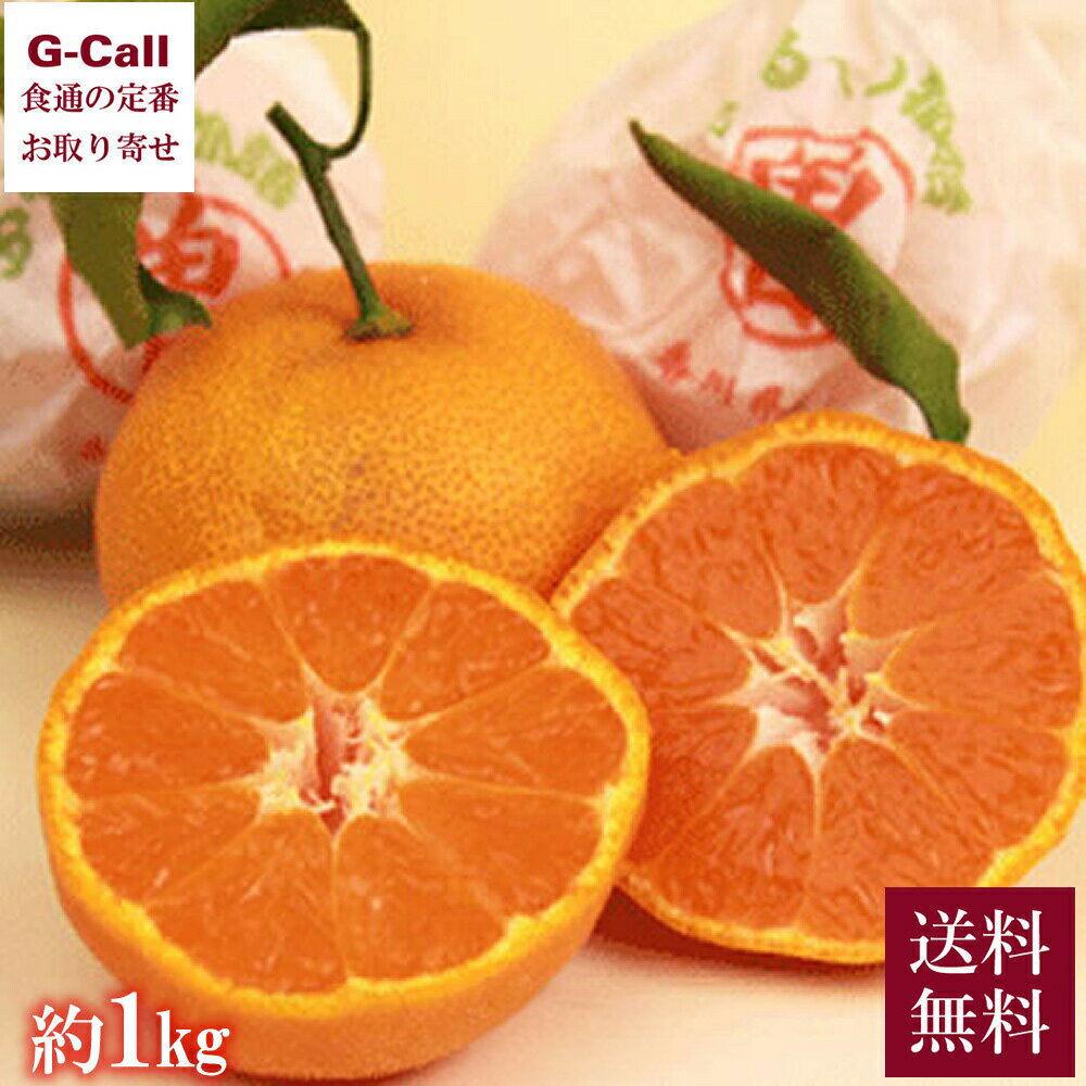 香川県産 越冬完熟袋がけみかん ふるーつ物語 約1kg 10〜15玉入 1月下旬から2月上旬発送 送料無料 果物 フルーツ 柑橘 ミカン 高糖度 お取り寄せ 甘い みかんのサムネイル