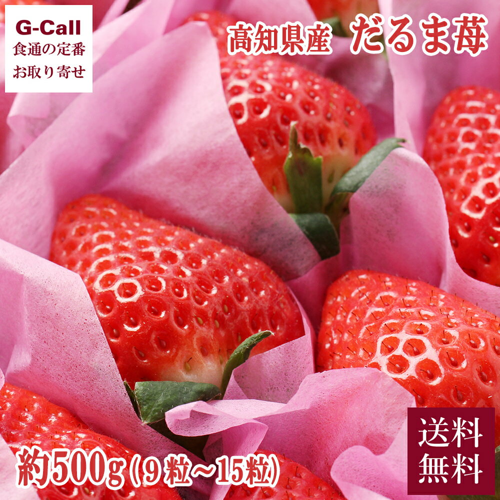 高知県産 だるま苺 約500g 9粒〜15粒 1月下旬から4月中旬発送 指定日不可 送料無料 果物 フルーツ いちご イチゴ 大粒 さがほのか 完熟 高級 贈答 産地直送